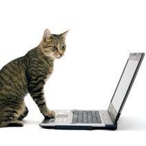 b2ap3_thumbnail_kitty_tech_support_400.jpg